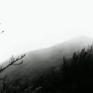 悲しくて美しい世界／THIS IS SPARKLEHORSE 14枚目の写真・画像