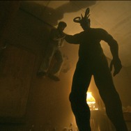 サトウキビは知っている 5枚目の写真・画像