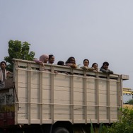 サトウキビは知っている 6枚目の写真・画像