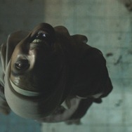 サトウキビは知っている 10枚目の写真・画像