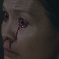 サトウキビは知っている 11枚目の写真・画像