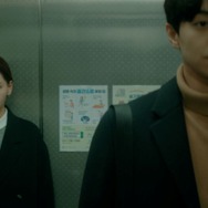 黴の花 2枚目の写真・画像