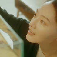 黴の花 9枚目の写真・画像