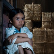 「豊臣兄弟！」第8回©NHK