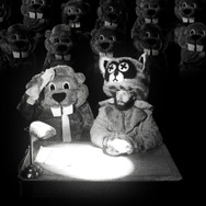 FEVER ビーバー！ 6枚目の写真・画像