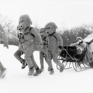 FEVER ビーバー！ 10枚目の写真・画像