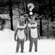 FEVER ビーバー！ 12枚目の写真・画像