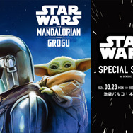 「STAR WARS SPECIAL STORE by BENELIC」