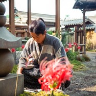 「豊臣兄弟！」9話©NHK