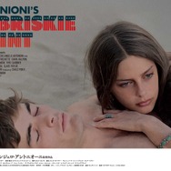 砂丘 2枚目の写真・画像