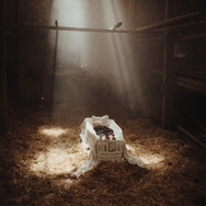 落下音 15枚目の写真・画像