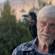 『罠 ドナウ川の守り人』