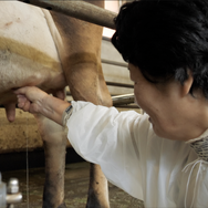 夜間保育からモンテッソーリへ—子育ての未来— 9枚目の写真・画像