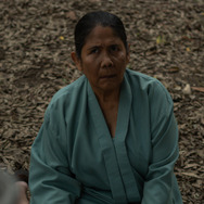 『サトウキビは知っている』© 2025 MD Pictures