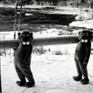 『FEVER ビーバー！』© 2022 SABLJAK RAVENWOOD HOGERTON