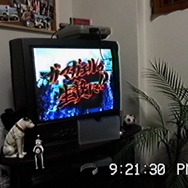 沢田美由紀のガマランドにお邪魔します 4枚目の写真・画像