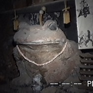 沢田美由紀のガマランドにお邪魔します 11枚目の写真・画像