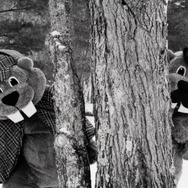 FEVER ビーバー！ 15枚目の写真・画像