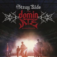 Stray Kids : The dominATE Experience 1枚目の写真・画像