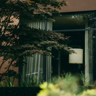 『ブゴニア』© 2025 Universal Studios. All Rights Reserved.