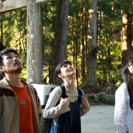 トランジット・イン・フラミンゴ 4枚目の写真・画像