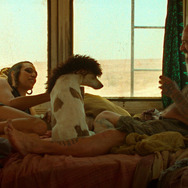 シラート 12枚目の写真・画像