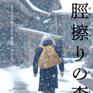 脛擦りの森 17枚目の写真・画像