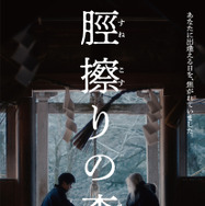 脛擦りの森 19枚目の写真・画像