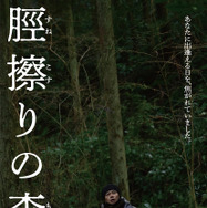 脛擦りの森 20枚目の写真・画像