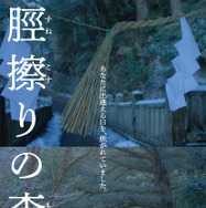 脛擦りの森 23枚目の写真・画像