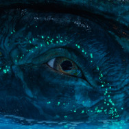 『アバター：ファイヤー・アンド・アッシュ』© 2026 20th Century Studios