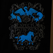 蓄光TシャツAll characters and elements © & ™ Warner Bros. Entertainment Inc. Publishing Rights © JKR. (s26)