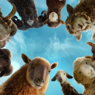 『ひつじ探偵団』