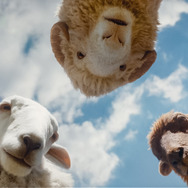 ひつじ探偵団 9枚目の写真・画像