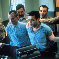 オニオン・フィールド 7枚目の写真・画像