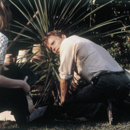 オニオン・フィールド 8枚目の写真・画像