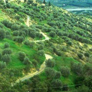 『おくりもの　4Kレストア版』(C) Santamira - Coop. CA.RI.NA.