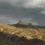 『四つのいのち』(C) 2010 VIVO FILM, ESSENTIAL FILMPRODUKTION, INVISIBILE FILM, VENTURA FILM