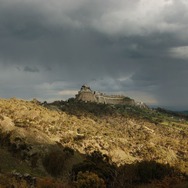 『四つのいのち』(C) 2010 VIVO FILM, ESSENTIAL FILMPRODUKTION, INVISIBILE FILM, VENTURA FILM