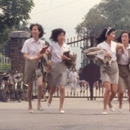 海辺の一日 4Kレストア 8枚目の写真・画像