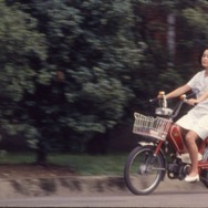 海辺の一日 4Kレストア 13枚目の写真・画像