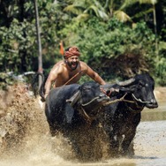 カーンターラ 神の降臨 4枚目の写真・画像