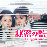 シン・ヘソン主演のラブコメディ『秘密の監査 -Filing for Love-』U-NEXTで日本独占配信へ