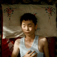 ボタニスト 植物を愛する少年 10枚目の写真・画像