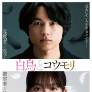 白鳥とコウモリ 1枚目の写真・画像