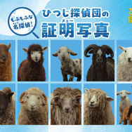 『ひつじ探偵団』