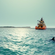 『デンジャラス・アニマルズ 絶望海域』©2025 ANIMAL HOLDINGS PTY LTD