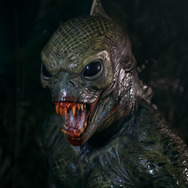 オラン・イカン 12枚目の写真・画像