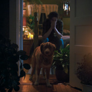 『GOOD BOY／グッド・ボーイ』© 2025 Whats Wrong With Your Dog, LLC. All Rights Reserved.