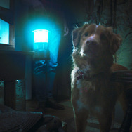 GOOD BOY／グッド・ボーイ 3枚目の写真・画像